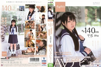 1sdab00076cover m