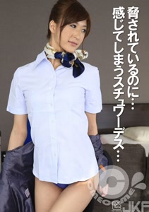 h 1462com00266cover m