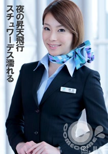 h 1462pyu00311cover m