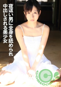 h 1462pyu00336cover m