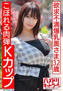 h 1472hmdnv00513cover m