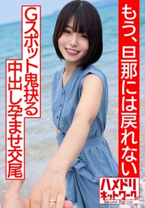 h 1472hmdnv00530cover m