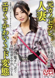 h 1472hmdnv00654cover m